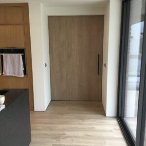 Sliding Design Door